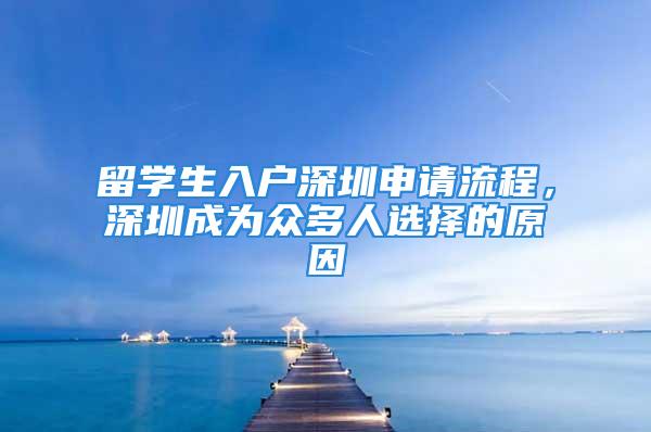 留學生入戶深圳申請流程，深圳成為眾多人選擇的原因