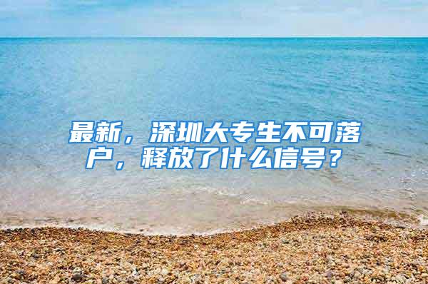 最新，深圳大專生不可落戶，釋放了什么信號？