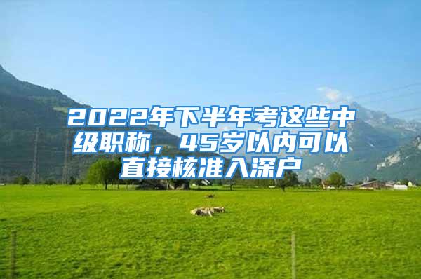 2022年下半年考這些中級職稱，45歲以內可以直接核準入深戶