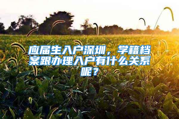 應屆生入戶深圳，學籍檔案跟辦理入戶有什么關系呢？