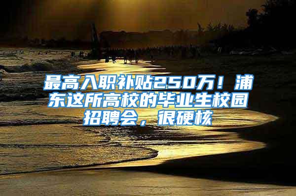 最高入職補貼250萬！浦東這所高校的畢業生校園招聘會，很硬核