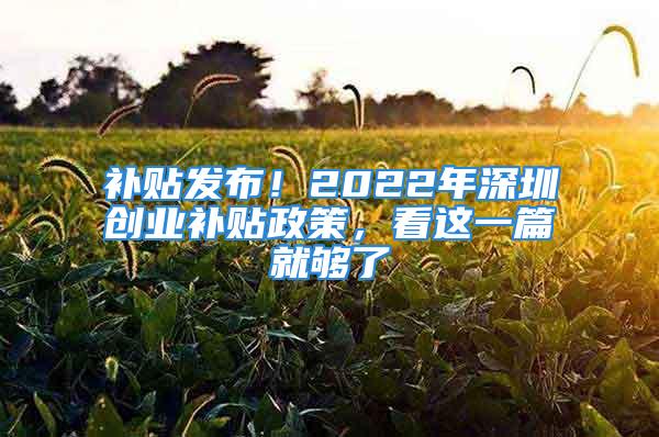 補貼發布！2022年深圳創業補貼政策，看這一篇就夠了