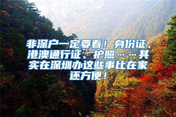 非深戶一定要看！身份證、港澳通行證、護照……其實在深圳辦這些事比在家還方便！