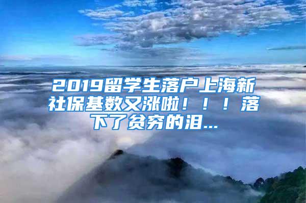 2019留學生落戶上海新社?；鶖涤譂q啦?。?！落下了貧窮的淚...