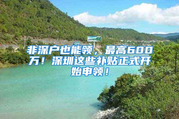 非深戶也能領，最高600萬！深圳這些補貼正式開始申領！