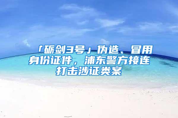 「礪劍3號」偽造、冒用身份證件，浦東警方接連打擊涉證類案