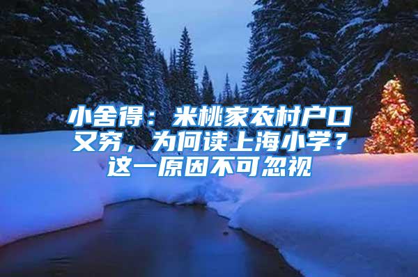 小舍得：米桃家農村戶口又窮，為何讀上海小學？這一原因不可忽視