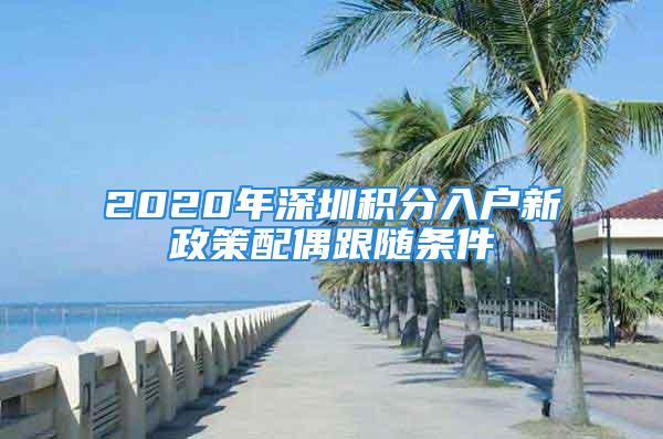 2020年深圳積分入戶新政策配偶跟隨條件