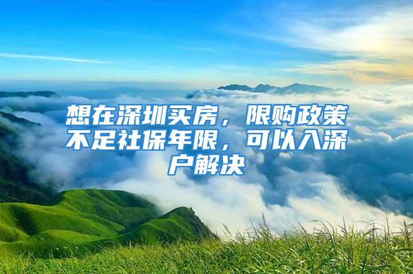 想在深圳買房，限購政策不足社保年限，可以入深戶解決