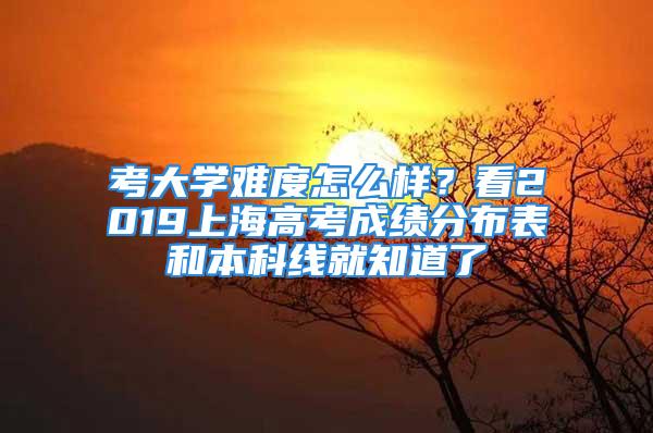 考大學難度怎么樣？看2019上海高考成績分布表和本科線就知道了