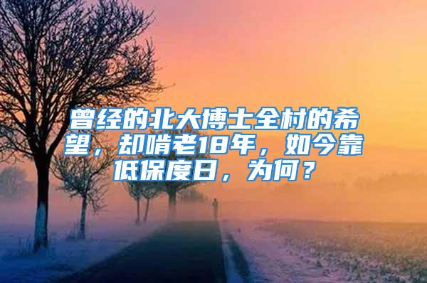 曾經的北大博士全村的希望，卻啃老18年，如今靠低保度日，為何？