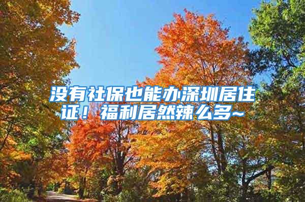 沒有社保也能辦深圳居住證！福利居然辣么多~