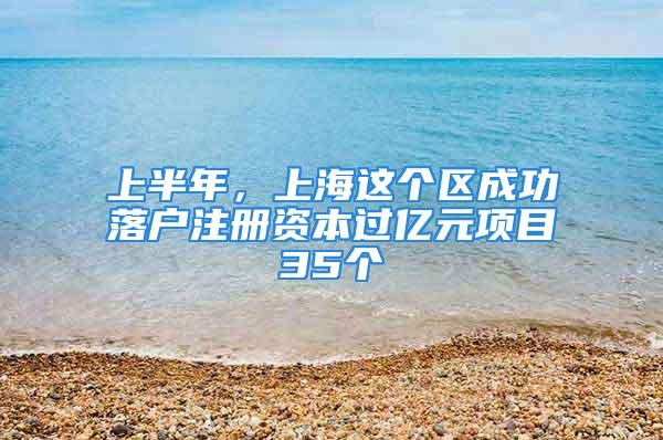 上半年，上海這個區成功落戶注冊資本過億元項目35個