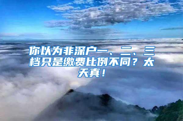 你以為非深戶一、二、三檔只是繳費比例不同？太天真！