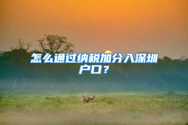 怎么通過納稅加分入深圳戶口？