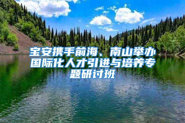 寶安攜手前海、南山舉辦國際化人才引進與培養專題研討班