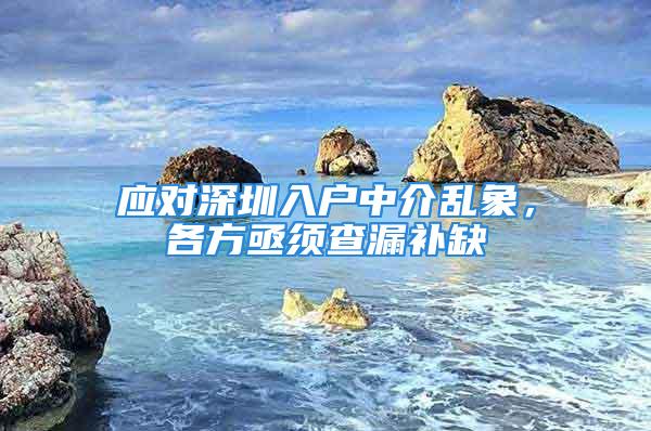 應對深圳入戶中介亂象，各方亟須查漏補缺