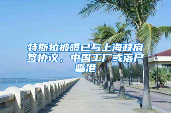 特斯拉被曝已與上海政府簽協議，中國工廠或落戶臨港