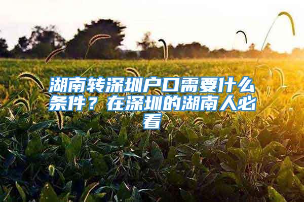 湖南轉深圳戶口需要什么條件？在深圳的湖南人必看