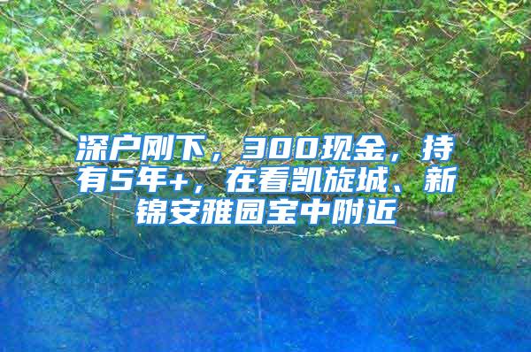 深戶剛下，300現金，持有5年+，在看凱旋城、新錦安雅園寶中附近