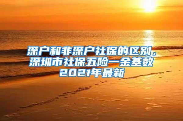 深戶和非深戶社保的區別，深圳市社保五險一金基數2021年最新