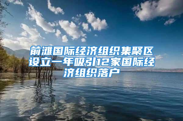 前灘國際經濟組織集聚區設立一年吸引12家國際經濟組織落戶