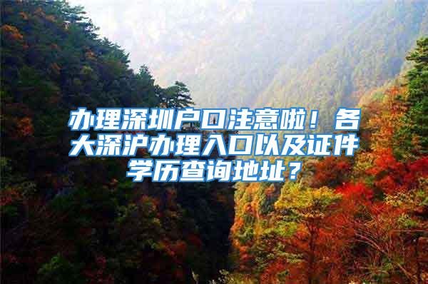 辦理深圳戶口注意啦！各大深滬辦理入口以及證件學歷查詢地址？