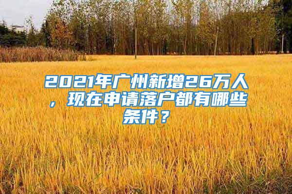 2021年廣州新增26萬人，現在申請落戶都有哪些條件？