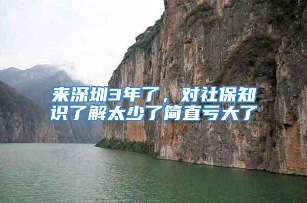 來深圳3年了，對社保知識了解太少了簡直虧大了