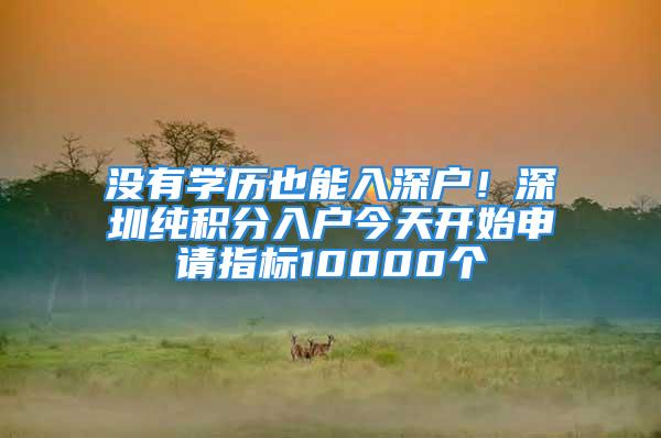 沒有學歷也能入深戶！深圳純積分入戶今天開始申請指標10000個