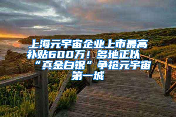 上海元宇宙企業上市最高補貼600萬！多地正以“真金白銀”爭搶元宇宙第一城