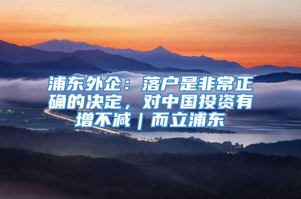 浦東外企：落戶是非常正確的決定，對中國投資有增不減｜而立浦東