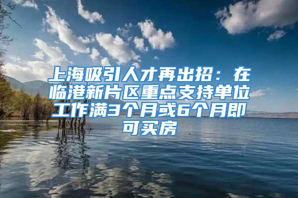 上海吸引人才再出招：在臨港新片區重點支持單位工作滿3個月或6個月即可買房