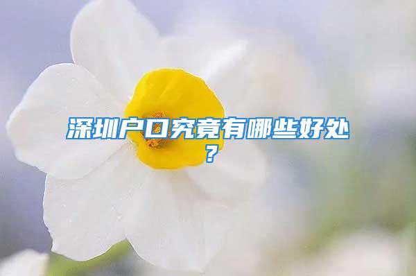 深圳戶口究竟有哪些好處？