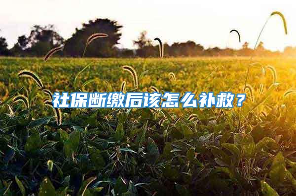 社保斷繳后該怎么補救？