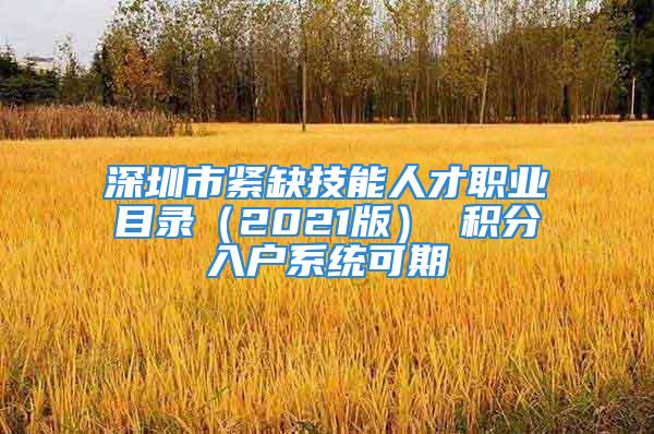 深圳市緊缺技能人才職業目錄（2021版） 積分入戶系統可期