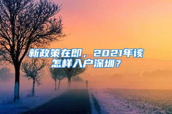 新政策在即，2021年該怎樣入戶深圳？