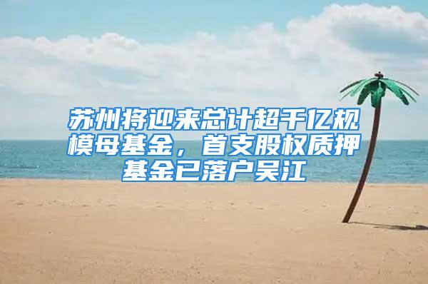 蘇州將迎來總計超千億規模母基金，首支股權質押基金已落戶吳江