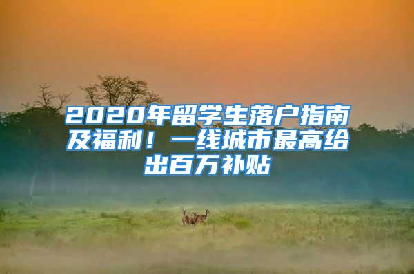 2020年留學生落戶指南及福利！一線城市最高給出百萬補貼