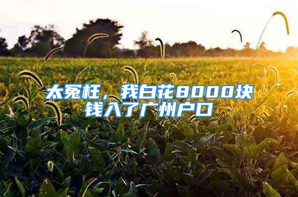 太冤枉，我白花8000塊錢入了廣州戶口