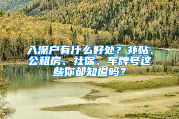 入深戶有什么好處？補貼、公租房、社保、車牌號這些你都知道嗎？