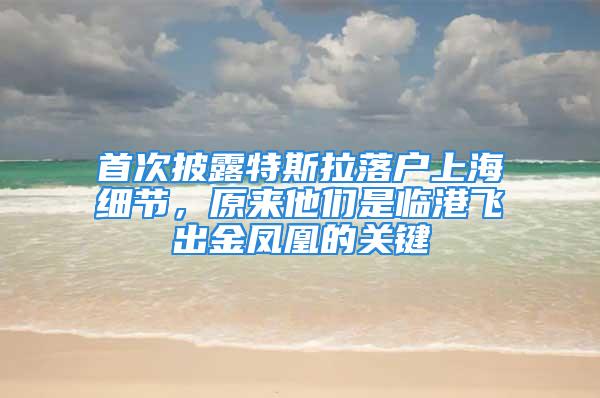 首次披露特斯拉落戶上海細節，原來他們是臨港飛出金鳳凰的關鍵