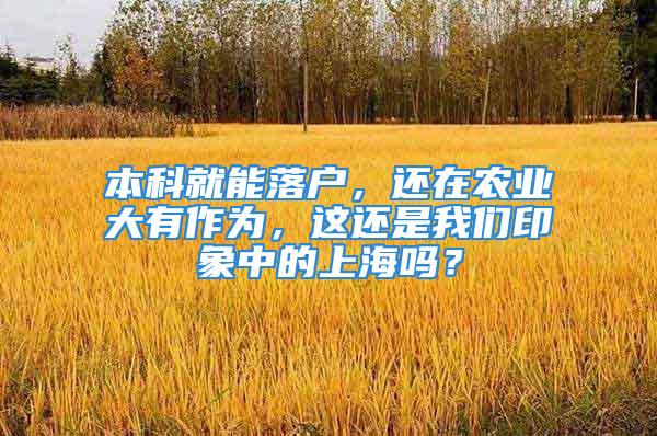 本科就能落戶，還在農業大有作為，這還是我們印象中的上海嗎？