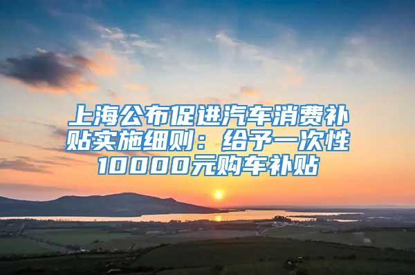 上海公布促進汽車消費補貼實施細則：給予一次性10000元購車補貼