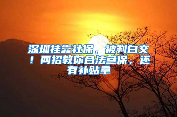 深圳掛靠社保，被判白交！兩招教你合法參保，還有補貼拿