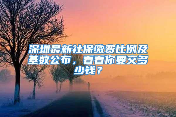 深圳最新社保繳費比例及基數公布，看看你要交多少錢？