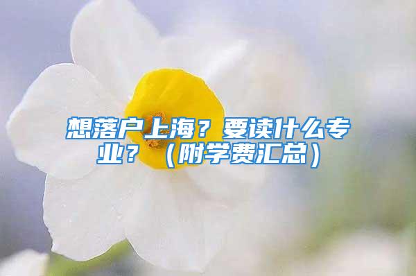 想落戶上海？要讀什么專業？（附學費匯總）