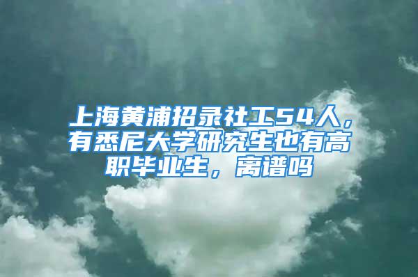 上海黃浦招錄社工54人，有悉尼大學研究生也有高職畢業生，離譜嗎