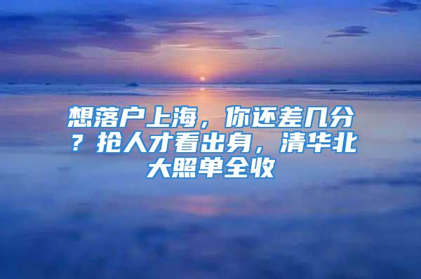 想落戶上海，你還差幾分？搶人才看出身，清華北大照單全收