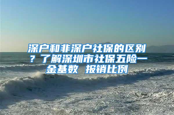 深戶和非深戶社保的區別？了解深圳市社保五險一金基數 報銷比例